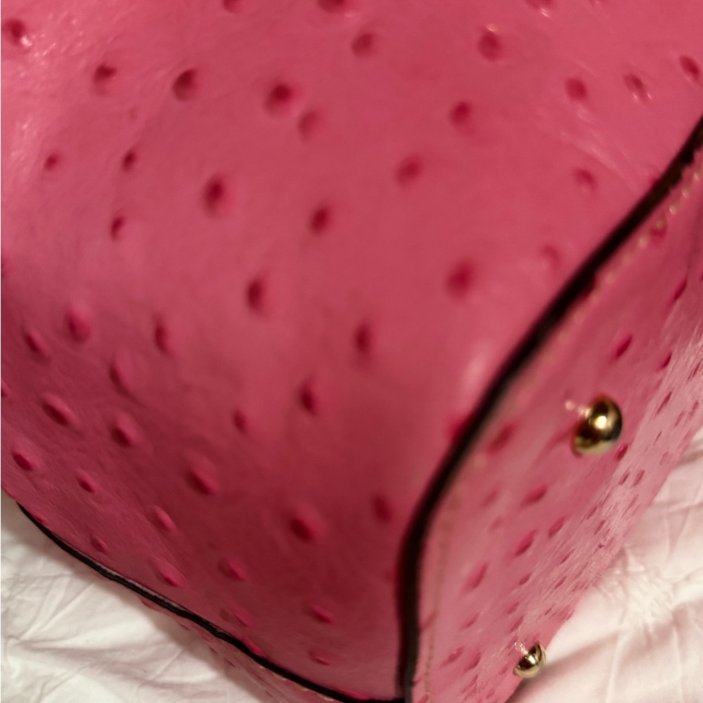 Dooney & Bourke Pink Ostrich-Embossed Tote - Picture 9 of 15